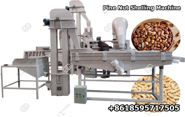 Commercial Pine Nut Cracker Shelling Machine Processing Equipment